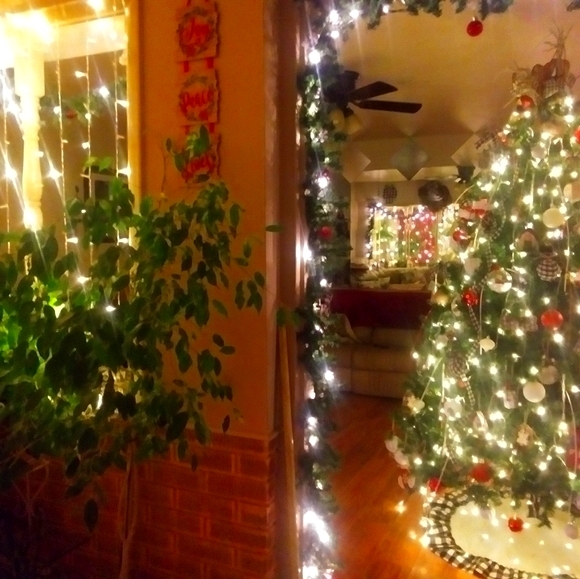 Meet your Posher, David - Picture 2 of 5